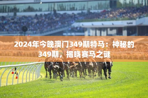 2024年今晚澳门349期特马：神秘的349期，揭晓赛马之谜