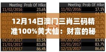 12月14日澳门三肖三码精准100%黄大仙：财富的秘密与预测