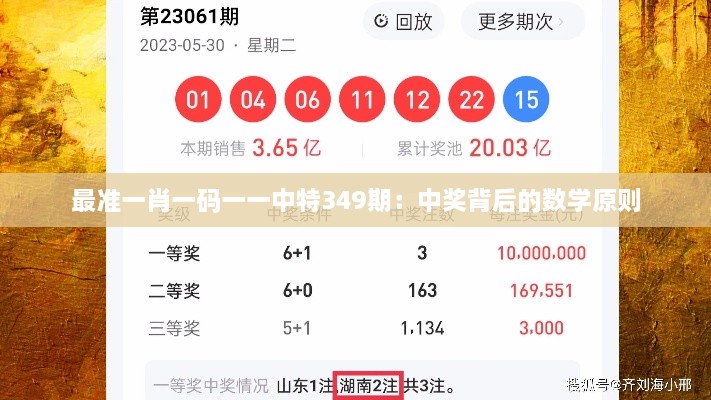 最准一肖一码一一中特349期：中奖背后的数学原则