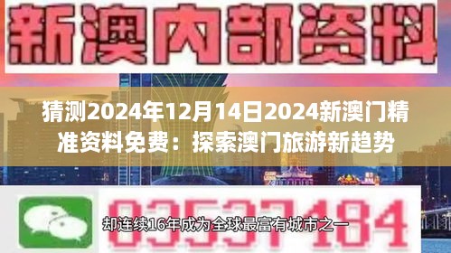 2024年12月14日 第13页