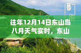 2024年12月14日 第12页