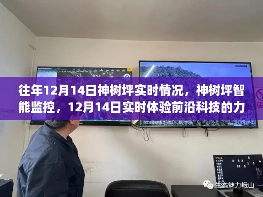 神树坪智能监控前沿科技体验，12月14日实时观察报告