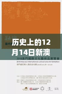 历史上的12月14日新澳天天免费资料大全：历史的沉淀，当代的启示