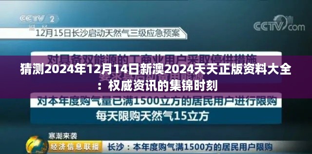 猜测2024年12月14日新澳2024天天正版资料大全：权威资讯的集锦时刻