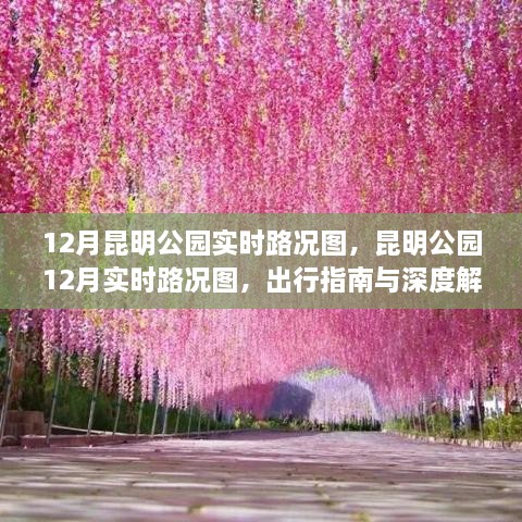 昆明公园12月实时路况图深度解析与出行指南