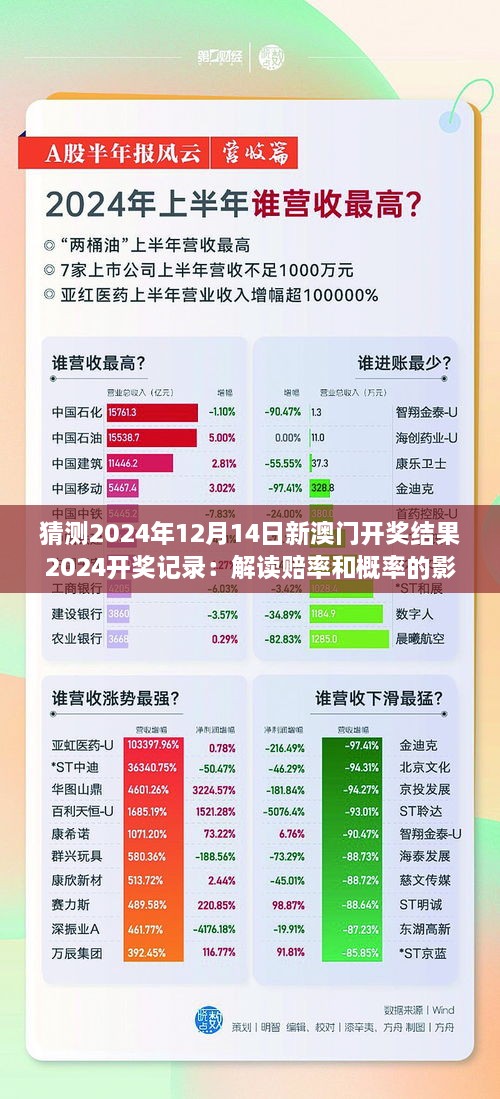 2024年12月14日 第11页