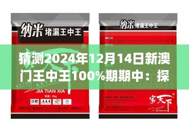 猜测2024年12月14日新澳门王中王100%期期中：探索王中王赛事背后的文化意义