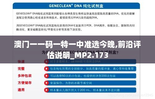 澳门一一码一特一中准选今晚,前沿评估说明_MP2.173