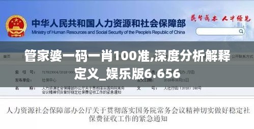 管家婆一码一肖100准,深度分析解释定义_娱乐版6.656