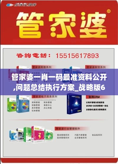 管家婆一肖一码最准资料公开,问题总结执行方案_战略版6.617