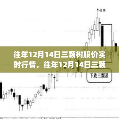 往年12月14日三颗树股价实时行情深度解析及市场走势探讨