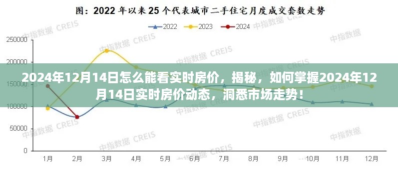 揭秘，掌握实时房价动态，洞悉市场走势——2024年12月14日房价动态全解析