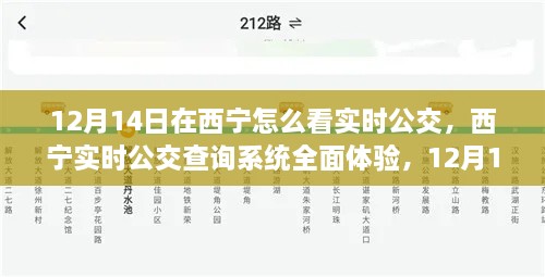 西宁实时公交查询系统深度体验与测评，12月14日指南