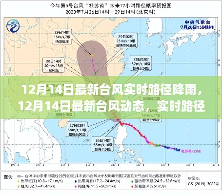 2024年12月15日 第23页