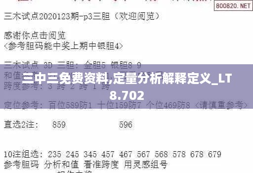 三中三免费资料,定量分析解释定义_LT8.702