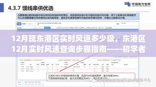 东港区12月实时风速查询指南，风速级别与查询步骤，适合初学者与进阶用户参考