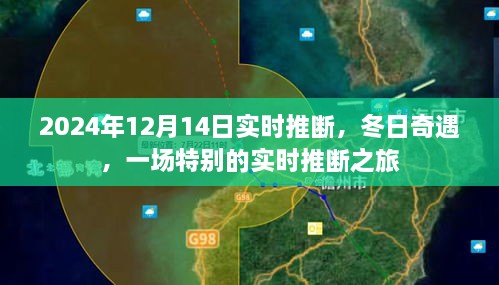 冬日奇遇，一场特别的实时推断之旅（2024年12月14日实时更新）