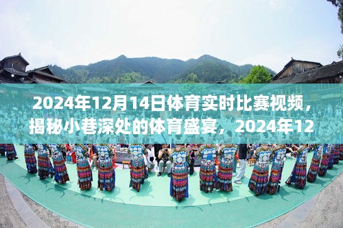 揭秘小巷深处的体育盛宴，2024年12月14日体育实时比赛视频独家呈现