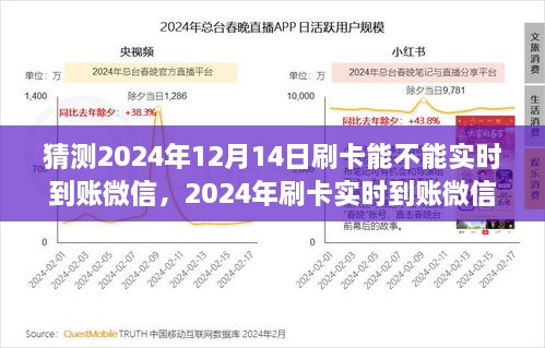 2024年12月15日 第9页