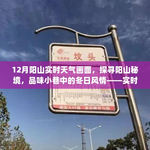 阳山实时天气下的秘境探秘与特色小店风情体验