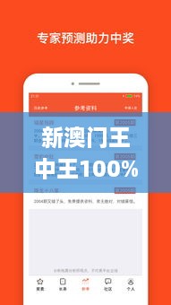 新澳门王中王100%期期中,专业说明解析_app2.285