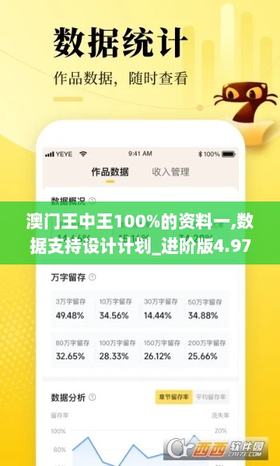 澳门王中王100%的资料一,数据支持设计计划_进阶版4.976