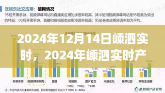 2024年嵊泗实时产品评测报告，特性、体验、竞品对比与用户洞察