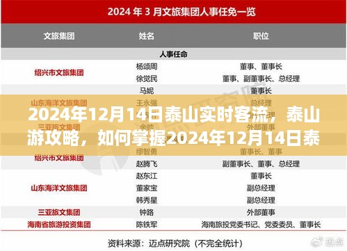 2024年12月14日泰山实时客流攻略，掌握泰山游最佳行程安排