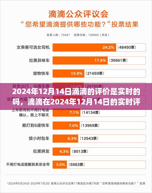 2024年12月14日滴滴实时评价深度分析与评测