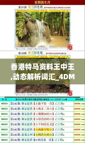 香港特马资料王中王,动态解析词汇_4DM19.701