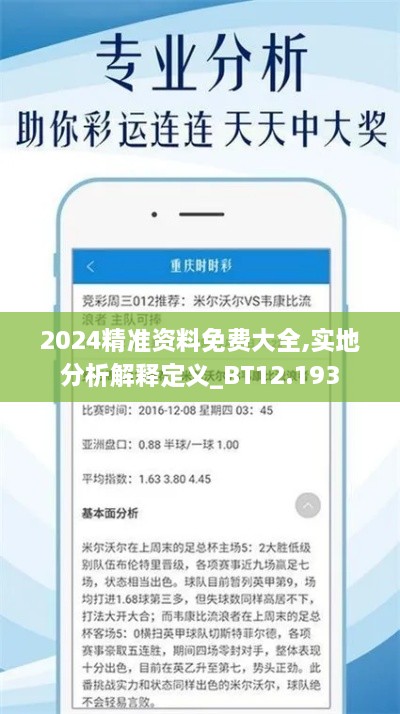 2024精准资料免费大全,实地分析解释定义_BT12.193