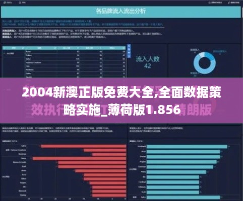 2004新澳正版免费大全,全面数据策略实施_薄荷版1.856