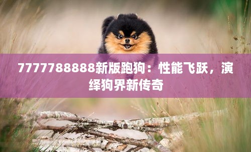 7777788888新版跑狗：性能飞跃，演绎狗界新传奇