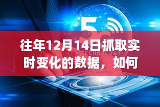 往年12月14日实时变化数据抓取指南，详细步骤与操作说明