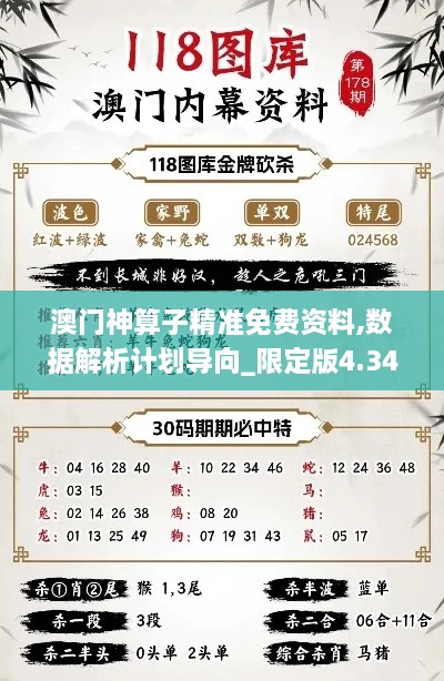 澳门神算子精准免费资料,数据解析计划导向_限定版4.347