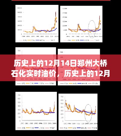 历史上的12月14日郑州大桥石化实时油价波动背后的观察与思考