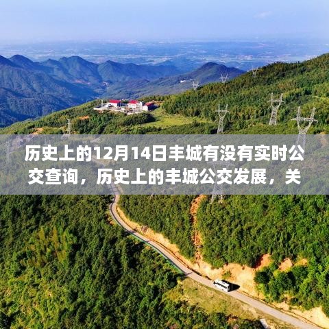 历史上的丰城公交发展，聚焦12月14日实时公交查询的探讨与变迁