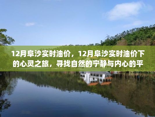 12月阜沙油价下的心灵之旅，自然宁静与内心平和的追寻