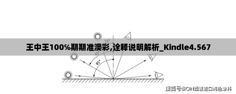 王中王100℅期期准澳彩,诠释说明解析_Kindle4.567