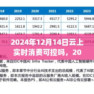 云上实时消费控制，体验、对比与前景分析（2024年最新观察）