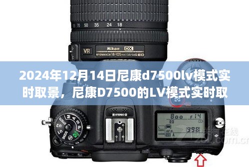 尼康D7500 LV模式实时取景功能深度解析与体验分享