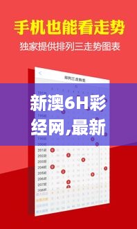 新澳6H彩经网,最新正品解答落实_pack15.527