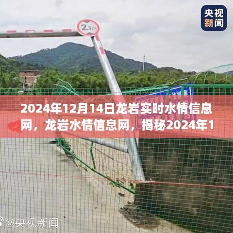 揭秘龙岩水情信息网，实时水情背景与影响分析（2024年12月14日）