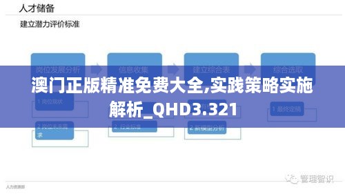 澳门正版精准免费大全,实践策略实施解析_QHD3.321