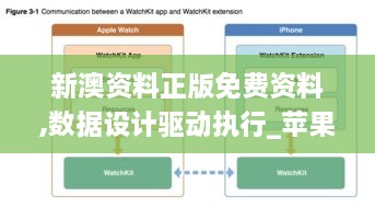 新澳资料正版免费资料,数据设计驱动执行_苹果版5.625