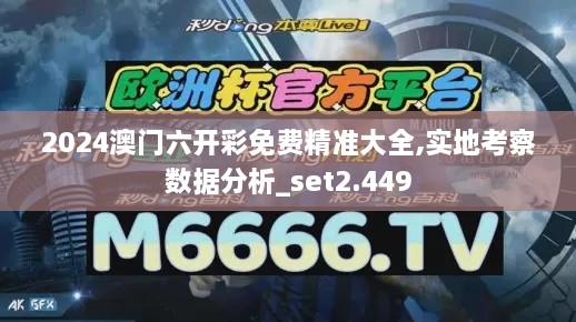 2024澳门六开彩免费精准大全,实地考察数据分析_set2.449