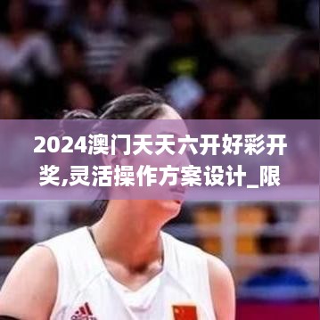 2024澳门天天六开好彩开奖,灵活操作方案设计_限定版4.788