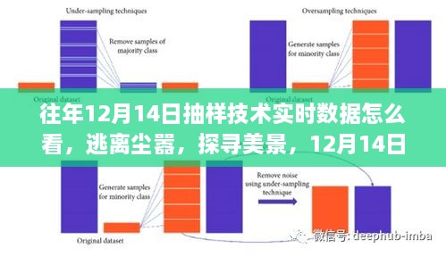 12月14日抽样技术下的自然之旅，探寻美景，逃离尘嚣的实时数据解读