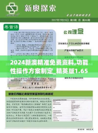 2024新澳精准免费资料,功能性操作方案制定_精英版1.653