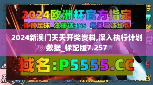 2024新澳门天天开奖资料,深入执行计划数据_标配版7.257